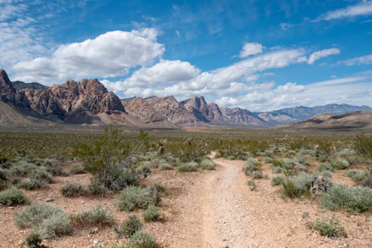 lake las vegas hiking